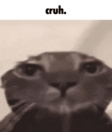 Cruh Cruh Cat GIF - Cruh Cruh Cat Sad Cat GIFs