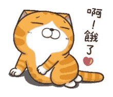 Cat Lan Lan Cat GIF - Cat Lan Lan Cat Love GIFs