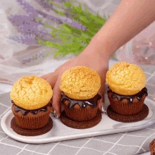 three cupcakes on a tray with a hand reaching for one of them