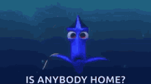dory are you there any body home