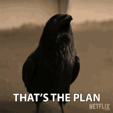 Thats The Plan Matthew The Raven GIF - Thats The Plan Matthew The Raven Patton Oswalt GIFs