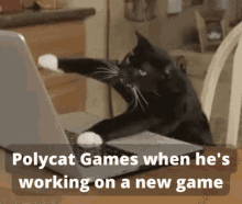 Polycat Games Polycat GIF - Polycat Games Polycat Games GIFs