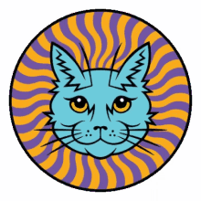 psychedelic cat electric catnip catnip trippy