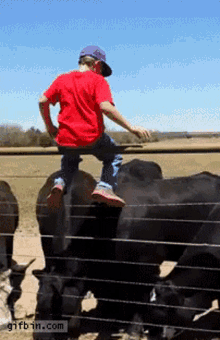 Riding Cow Jump GIF - Riding Cow Jump Fall GIFs
