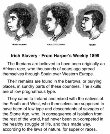 Irish Slaves GIF - Irish Slaves GIFs