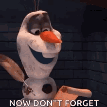 Olaf Frozen GIF - Olaf Frozen Remember GIFs