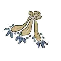 a drawing of a flower with blue leaves and a yellow center