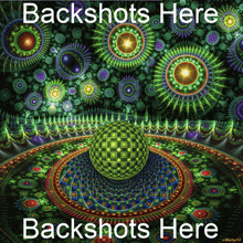 Backshots GIF - Backshots GIFs
