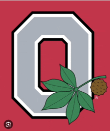 Ohio State Ohio State Buckeyes GIF - Ohio State Ohio State Buckeyes Ohio State Football GIFs