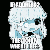 a pixel art of a girl with the words ip address they know where i pee written on it