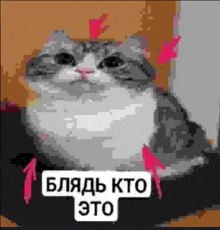 комару GIF