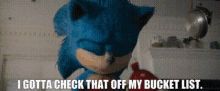 Sonic I Gotta Check That Off My Bucket List GIF - Sonic I Gotta Check That Off My Bucket List Bucket List GIFs