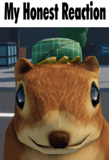 a picture of a squirrel with the words my honest reaction