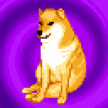 Spin Doge GIF - Spin Doge GIFs