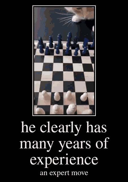 Chess memes? #chess #memes