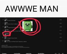 a screenshot of a playlist with the words awwwe man