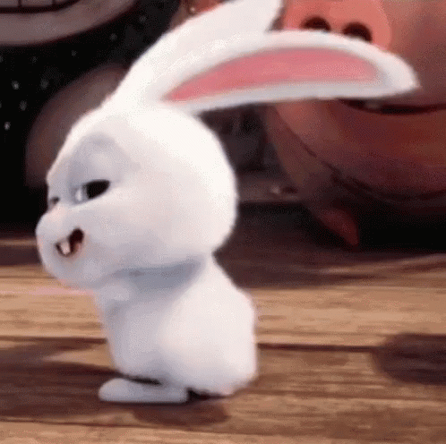 bunny-happy-dance.gif