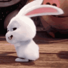bunny happy dance secret life of pets