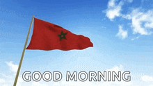 Morocco Flag GIF - Morocco Flag Wave GIFs