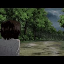 a woman is standing in the middle of a forest looking at a tree .