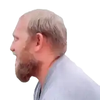 a man with a beard wearing a grey shirt