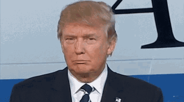 Donald Trump Eyebrow Raise GIF - Donald Trump Eyebrow Raise Make Face -  Discover & Share GIFs