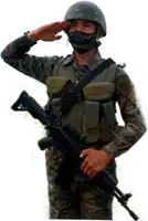 a soldier wearing a mask salutes while holding a rifle