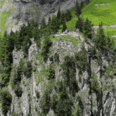 a group of people sitting on a rocky cliff with trees on it