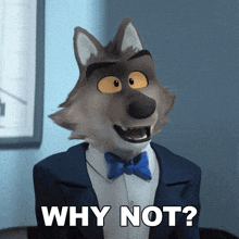 a cartoon wolf in a suit and bow tie is asking why not