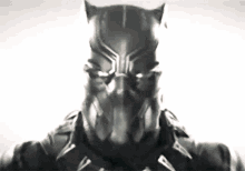 Black Panther Chadwick Boseman GIF - Black Panther Chadwick Boseman Marvel GIFs