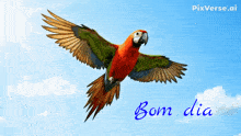 a colorful parrot is flying through a blue sky with the words bom dia below it