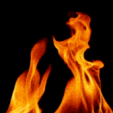 a close up of a fire flame on a black background