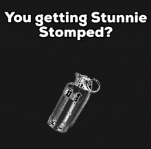 Stunnie Stomped Dtm GIF - Stunnie Stomped Dtm GIFs