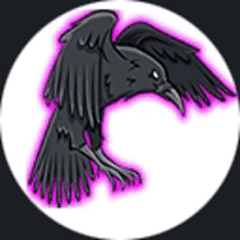 bird raven