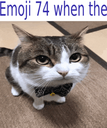 a cat wearing a bow tie with the words emoji 74 when the underneath
