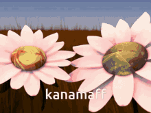 Kanamafu Mafukana GIF - Kanamafu Mafukana 25ji GIFs