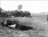 a black and white photo of a man laying on the grass