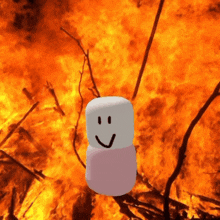 a marshmallow with a smiley face is in front of a fire .