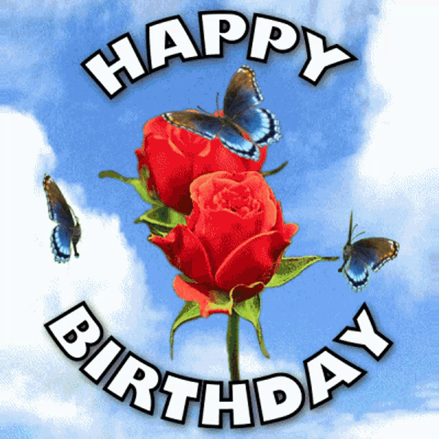 happy birthday red roses hd
