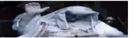 a blurry picture of a person with a white cloth on their head