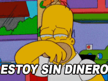 Estoy Sin Dinero GIF - Homero Simpson Sin Dinero No Tengo Dinero GIFs