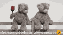 Teddy Bears Sorry GIF - Teddy Bears Sorry So Sorry GIFs