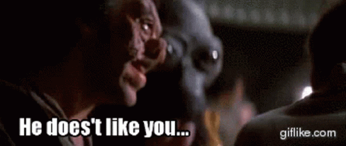 He doesn t like cheese. Cantina Star Wars gif. Doesn't. As you like it gif.