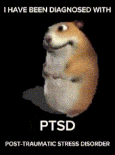 a picture of a hamster with the words ptsd post-traumatic stress disorder