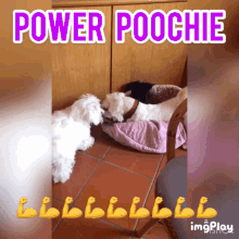 poochie puffino super dog power dog
