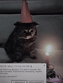 a cat wearing a party hat is sitting next to a candle and a message that says fortunately the clock is ticking