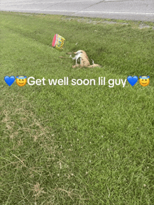 a picture of a dog laying in the grass with the words get well soon lil guy below it
