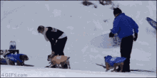 Funny Dog GIF - Funny Dog Ski GIFs