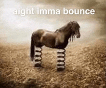 Horse Bot Hell GIF