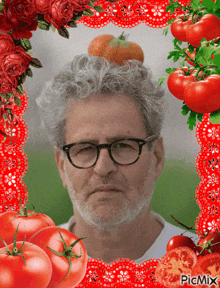 a picture of a man with a tomato on his head surrounded by tomatoes